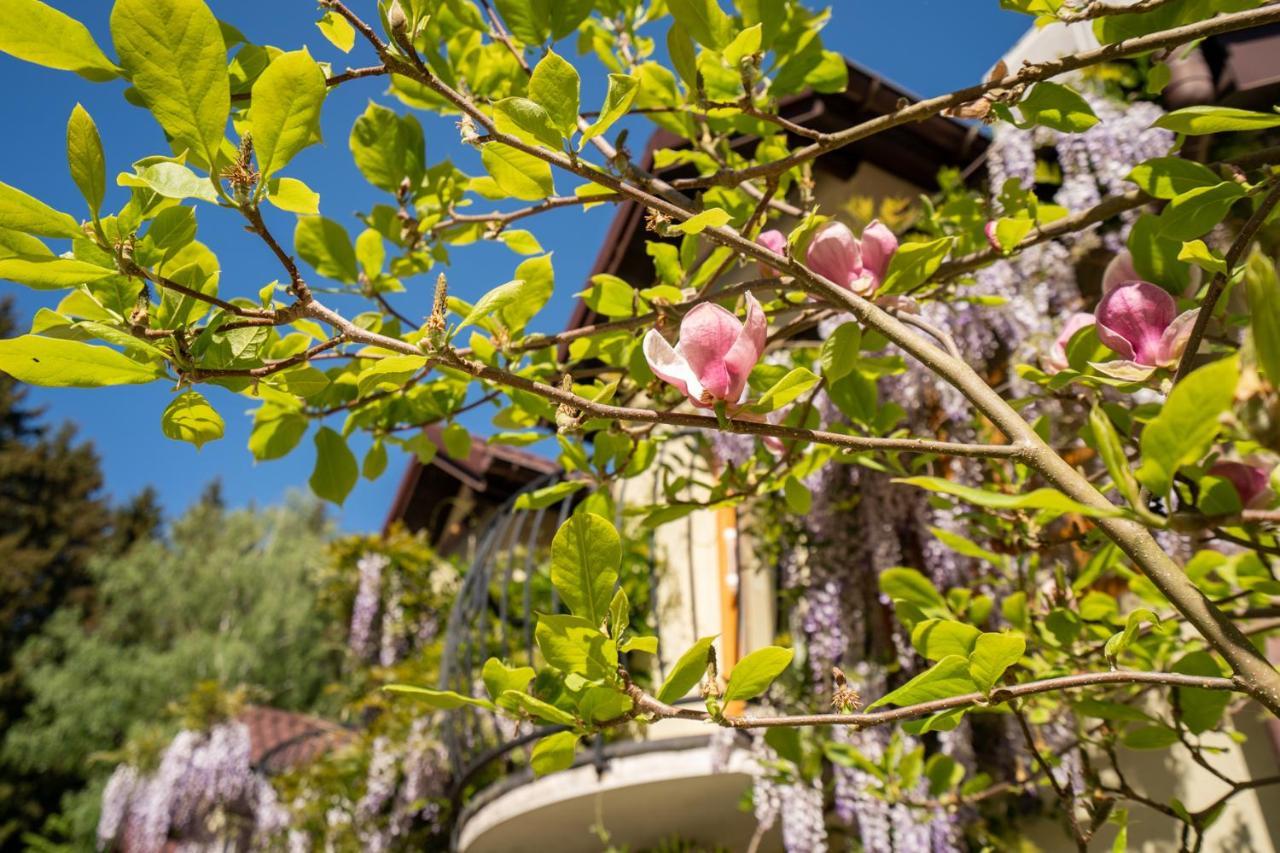 Apartamenty Miranda Kudowa-Zdrój Exteriör bild